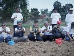 Tanam Raya Tembakau, Bupati Pamekasan Teken Petisi Together We Growth
