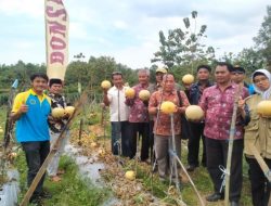 DKPP Pamekasan Siap Fasilitasi Desa yang Hendak Kembangkan Tanaman Holtikultura