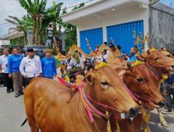 Pemkab Pamekasan dan UTM Launching Sirosida