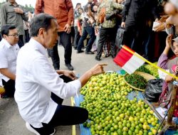 Tinjau Pasar di Bungo Jambi, Presiden Tekankan Perbaikan Infrastruktur Pasar