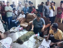 Gudang Bawang Mas Group Mulai Lakukan Pembelian Tembakau, Harga Tertinggi Tembus Rp 80 Ribu