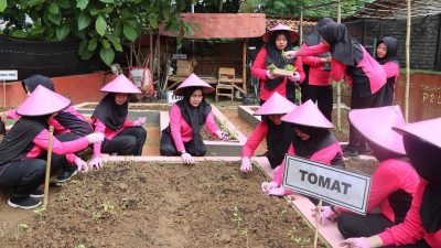 Bhayangkari Pamekasan Manfaatkan Lahan Kosong Jadi Kebun Sayur dan Tempat Budidaya Lele
