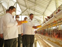 Menteri Imipas Tinjau Sarana Asimilasi Edukasi L’Sima Ngajum, Dorong Kemandirian Warga Binaan