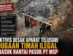 Aktivis Desak Aparat Telusuri Dugaan Timah Ilegal Masuk Rantai Pasok PT MSP