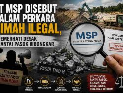 PT MSP Disebut dalam Perkara Timah Ilegal, Pemerhati Lingkungan Desak Rantai Pasok Dibongkar